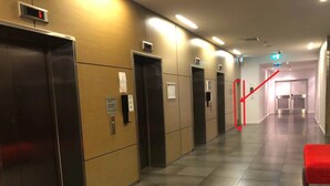 A hallway with elevators, a red carpet, and a staircase.