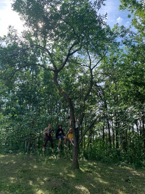 Property grounds - Indoor garden, Acreage (Edmonton)