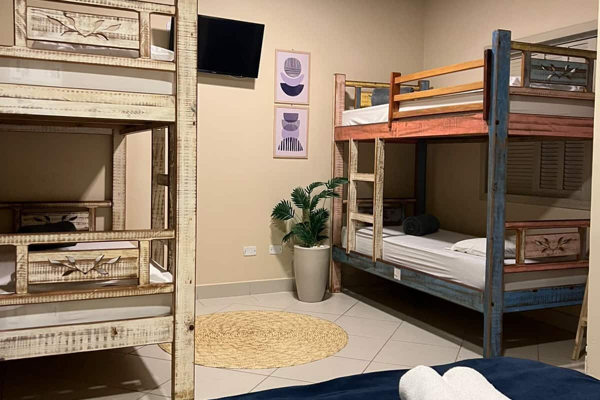 A dormitory room with bunk beds, a television, a potted plant, and a rolled towel on the bed.