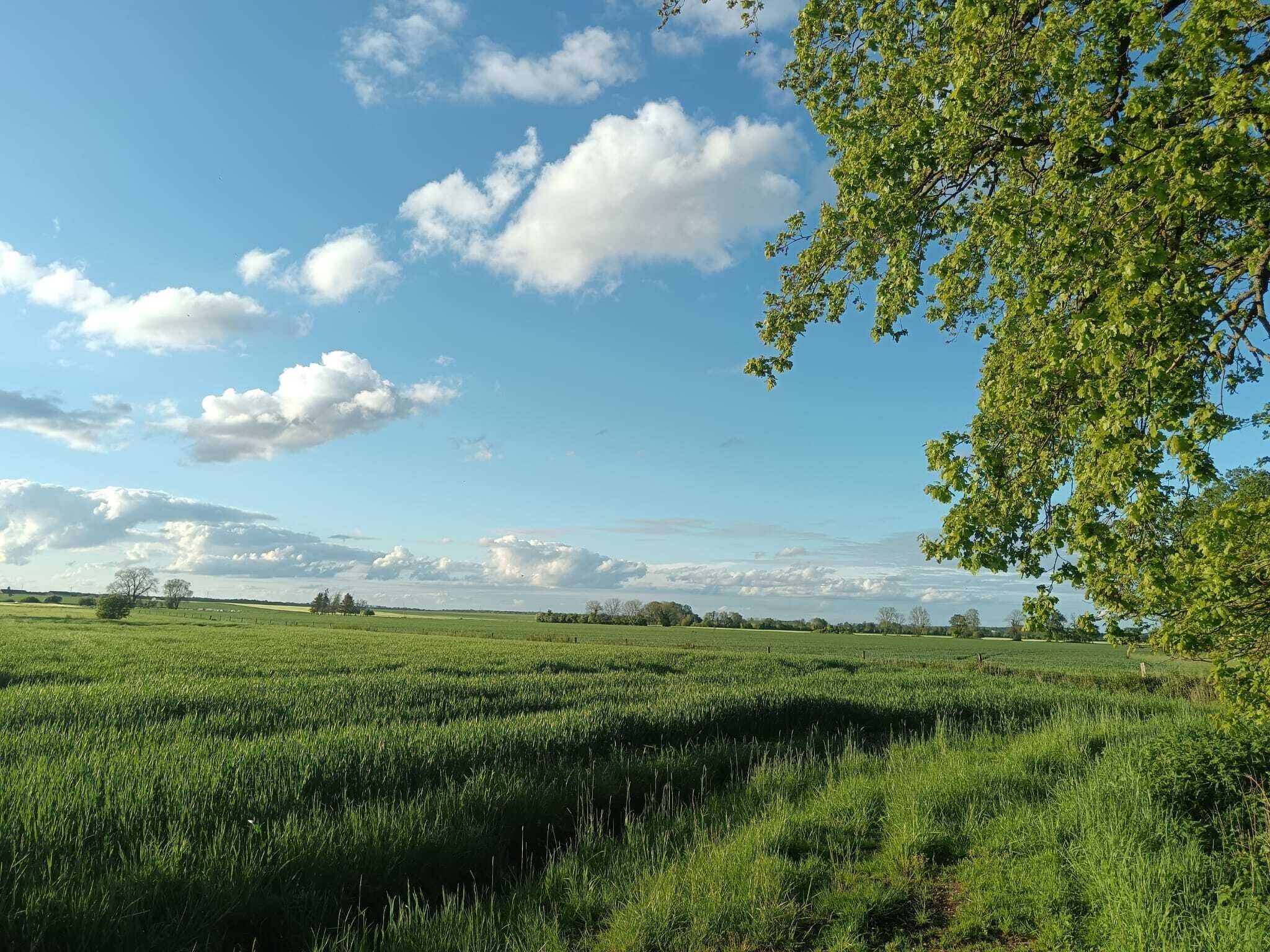 Um vasto campo verde com céu claro e algumas nuvens espalhadas.