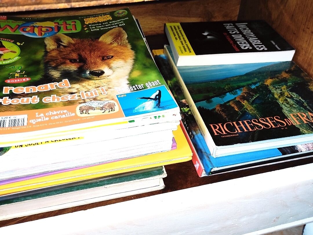 A stack of books with visible titles and covers.