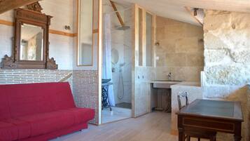 Télévision, cheminée, lecteur de DVD, écrans d'ordinateur