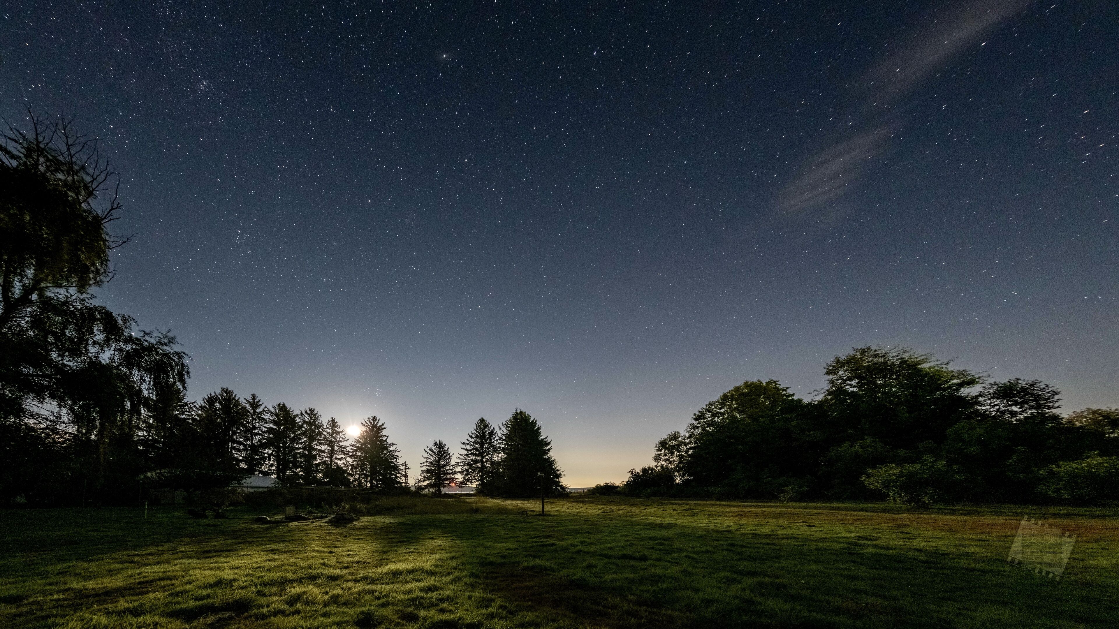 Céu estrelado sobre um campo gramado com árvores ao primeiro plano.