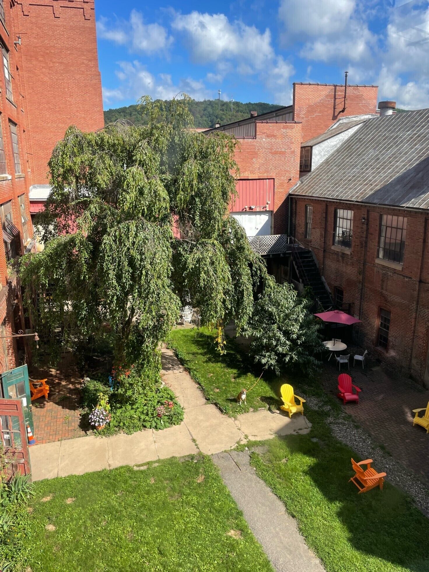 Jardines del alojamiento