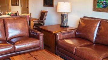 TV, fireplace, DVD player