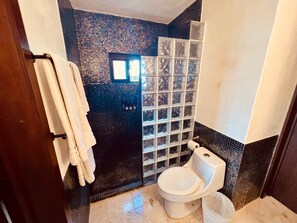 Ein Badezimmer mit Mosaikfliesen, einer Glasdusche und einer Toilette.