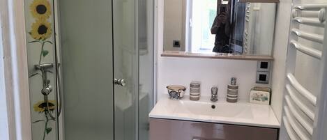 Shower, hair dryer, toilet paper