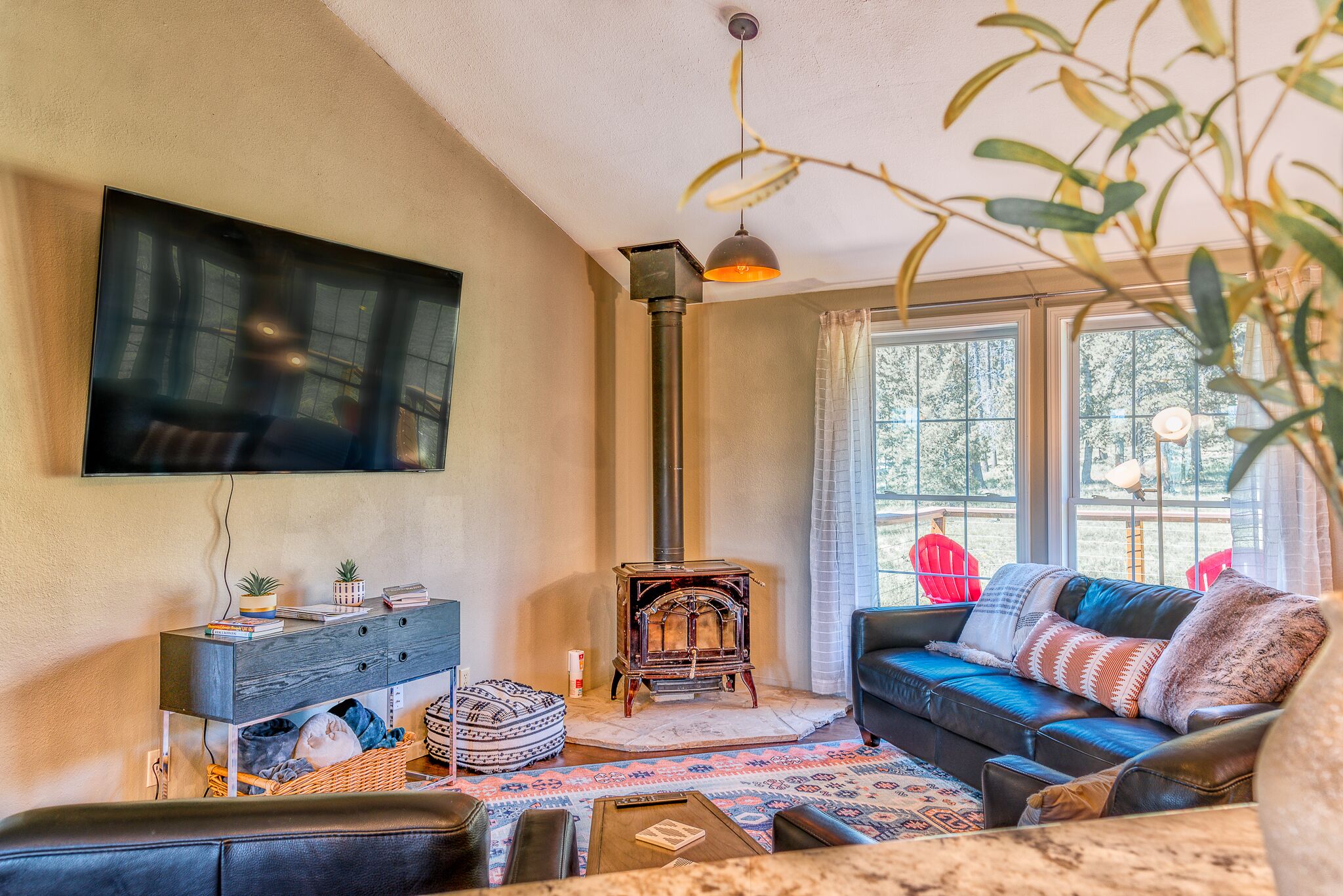 智能电视、壁炉、书、电脑显示器