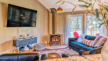 Smart TV, fireplace, books, computer monitors