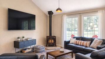 Smart TV, caminetto, libri, monitor per computer