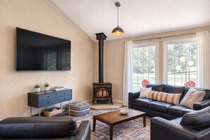 Smart TV, fireplace, books, computer monitors