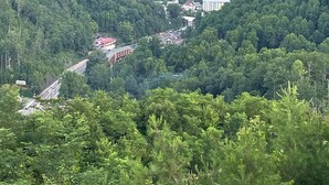 A mountainous landscape with dense forest and a few buildings, including a large white structure and smaller red-roofed buildings.