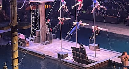 Veterans Day Weekend in the Smoky Mountains