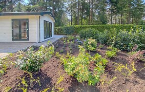 Stunning garden area adjacent to a residence with a flat roof and large windows.
