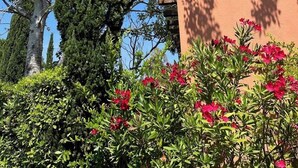 Un bâtiment à la façade marron, entouré d’arbustes verts et de fleurs rouges.