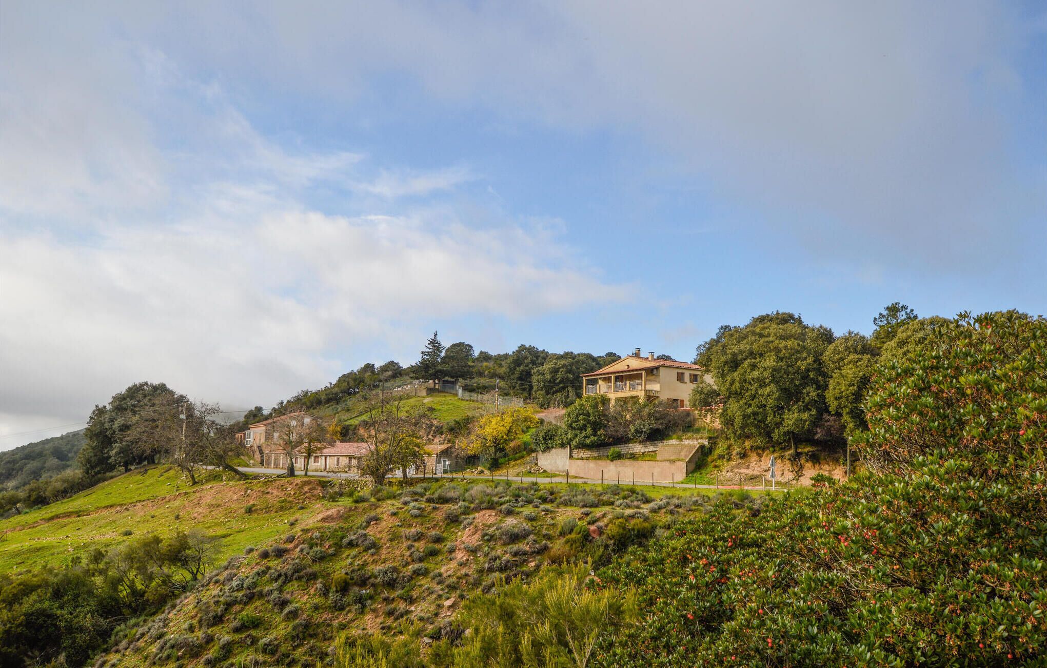 A hillside property with a house featuring a balcony, surrounded by lush greenery and trees.