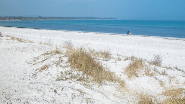Une plage de sable blanc avec quelques touffes d’herbe, une personne promenant un chien, et une mer calme sous un ciel dégagé.