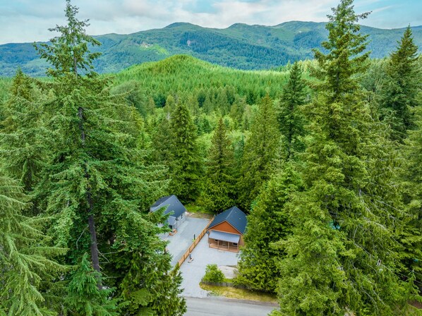 A cabin surrounded by dense forest with a mountain backdrop.