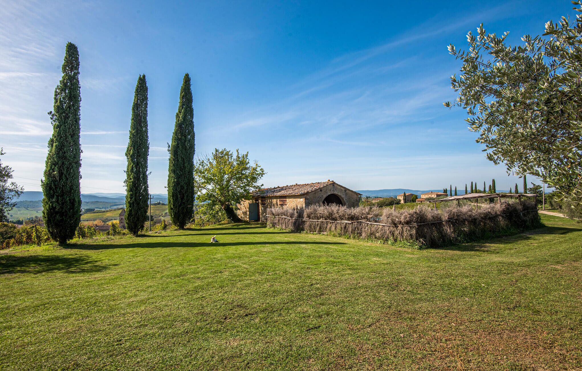 A rural landscape with a stone building, tall cypress trees, and a clear blue sky.
