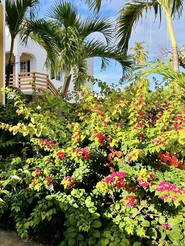 Chic Apartment in peaceful neighborhood close to beaches, shopping/entertainment