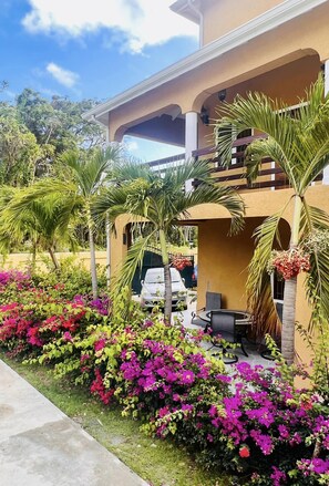 Terrein van de accommodatie