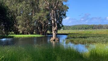 Jardines del alojamiento