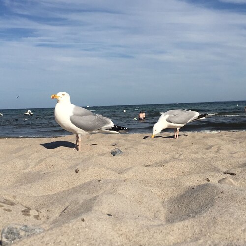 Appartement Nr.4 Ostseeblick - Ferienhof Kluvetasch