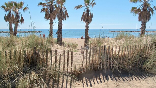 A beach with palm trees and a wooden fence. - Cosy apartment for 4 guests with WIFI, TV and patio (Fréjus)