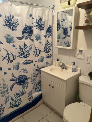 Combined shower/bathtub - Huge 2 Bedroom / 2 Bathroom Apt (Brooklyn)