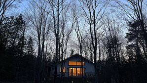 Een chalet met een veranda en grote ramen, omgeven door hoge bomen.