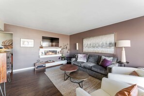 TV, fireplace, books