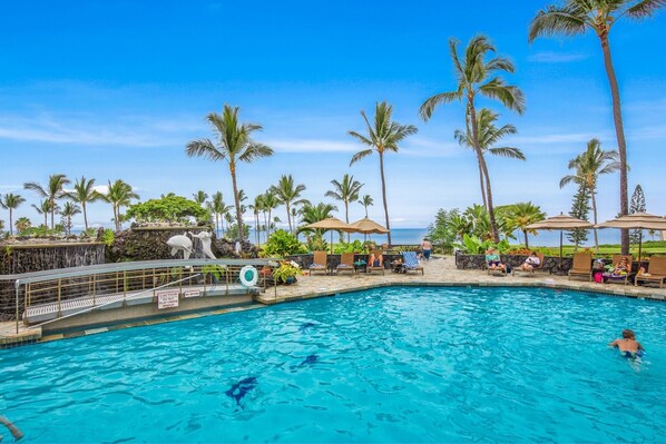 Relax by the oceanfront pool surrounded by palm trees and lounge chairs.