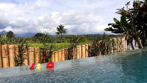 A pool with a bamboo fence, tropical plants, and a view of distant hills.