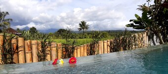 The Champuhan Villa - Honeymoon Villa With Rice Field View