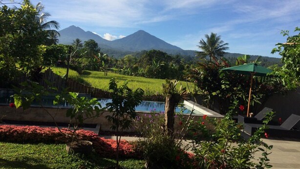 A lush garden with a pool, palm trees, and a view of mountains in the background.