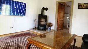Een woonkamer met een salontafel met glazen blad, een zwarte houtkachel, een rood tapijtraam en een blauw abstract schilderij aan de muur.