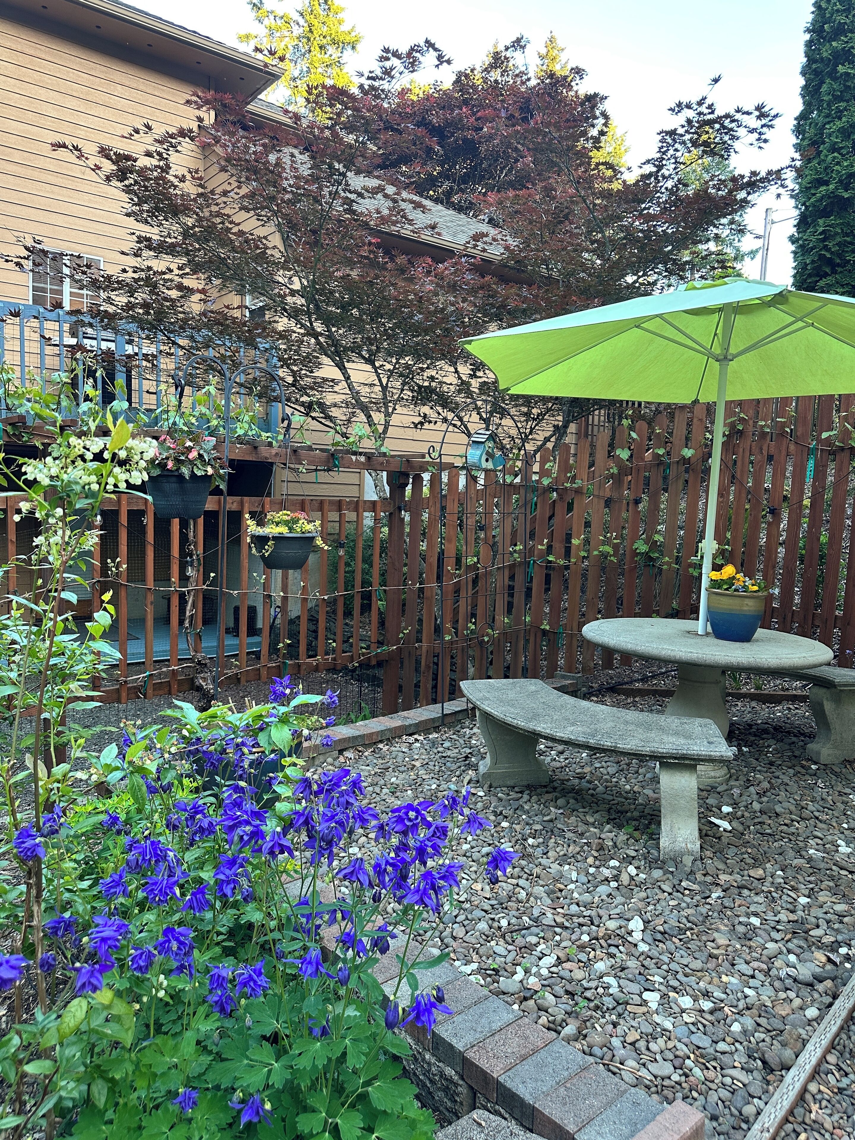 Restauration en plein air