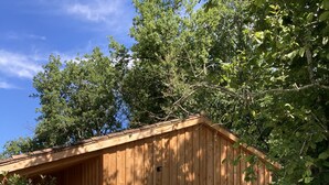 A wooden cabin with a small window and a door, surrounded by greenery.