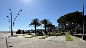 Un sendero pavimentado con bancos, palmeras y una vista despejada del mar y las montañas al fondo.