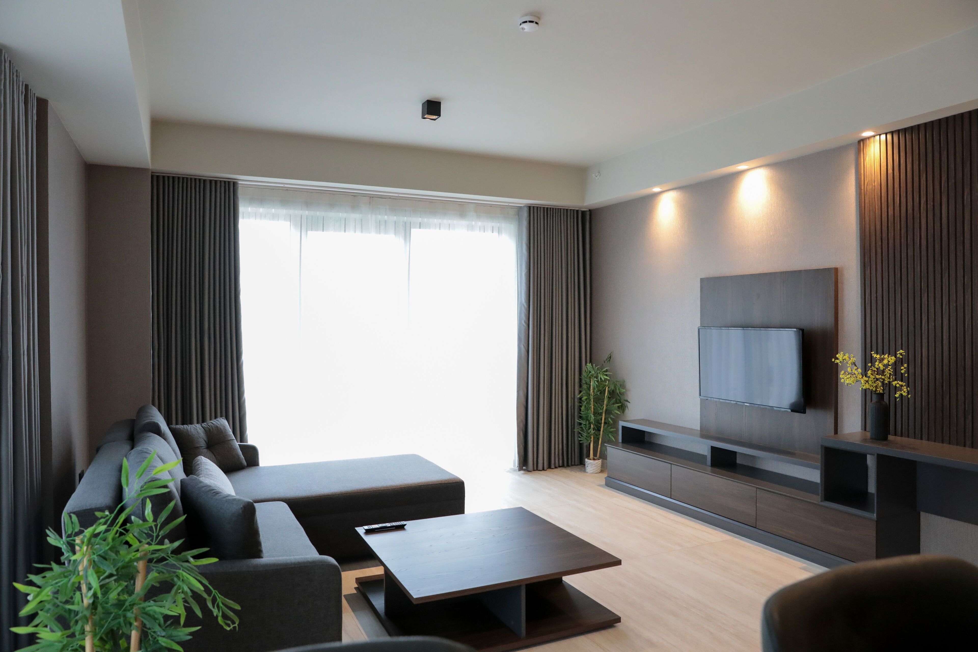 A modern living room with a sectional sofa, a coffee table, a flat-screen TV mounted on the wall, and a potted plant.