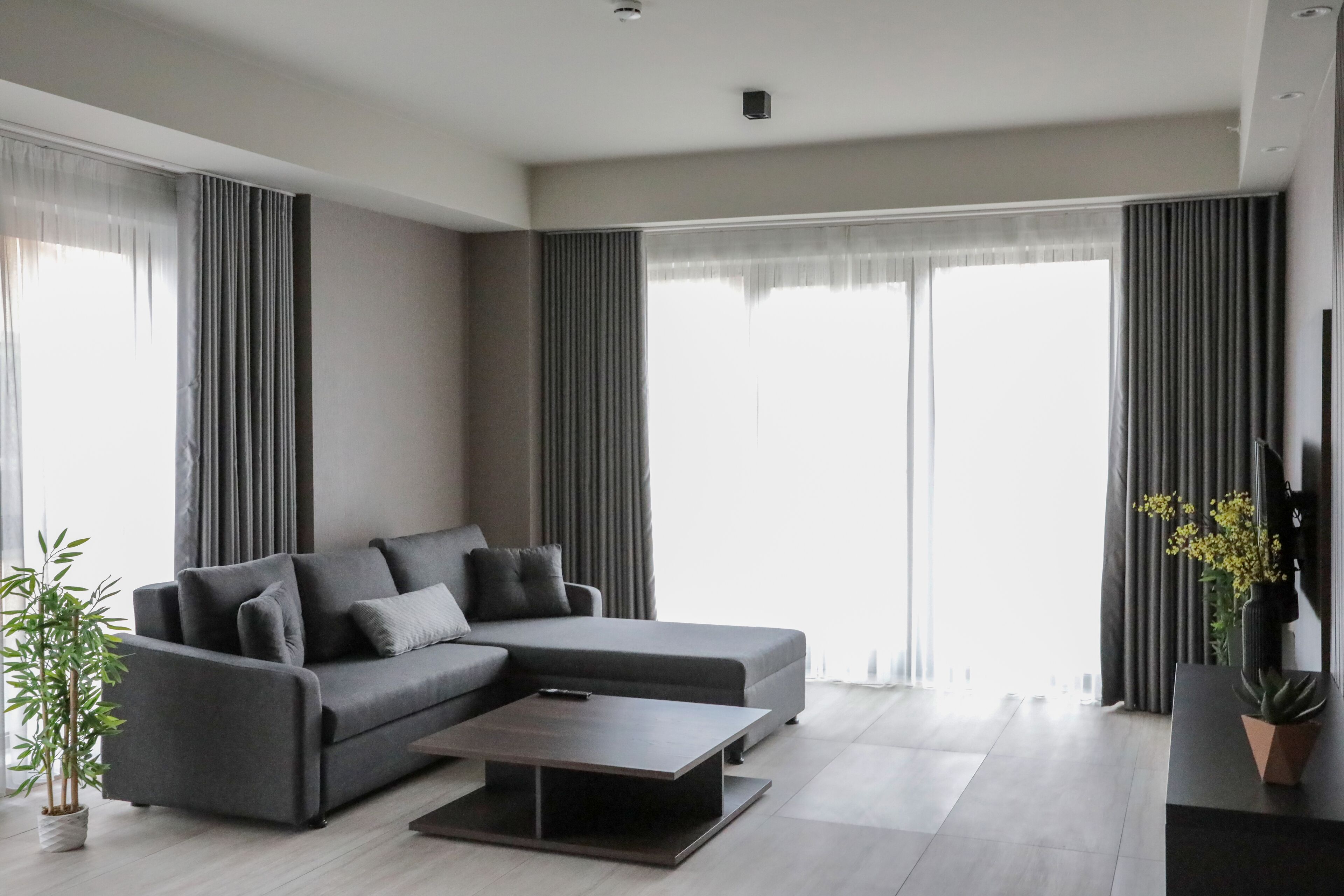 A modern living room with a grey sectional sofa, a coffee table, and a potted plant.