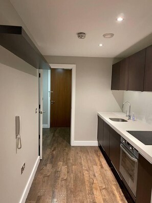 Appartement, 1 très grand lit et 1 canapé-lit | Cuisine privée | Réfrigérateur, micro-ondes, four, plaque de cuisson