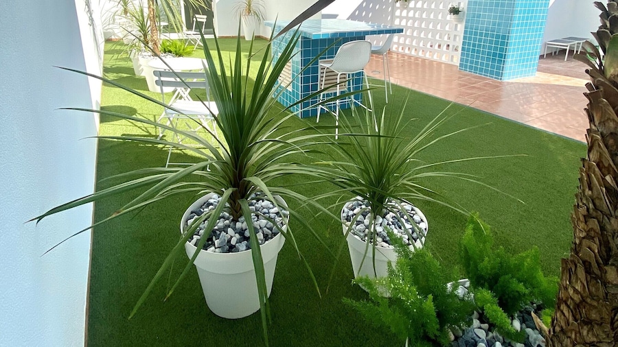 Apartamentos 525 Los Narejos