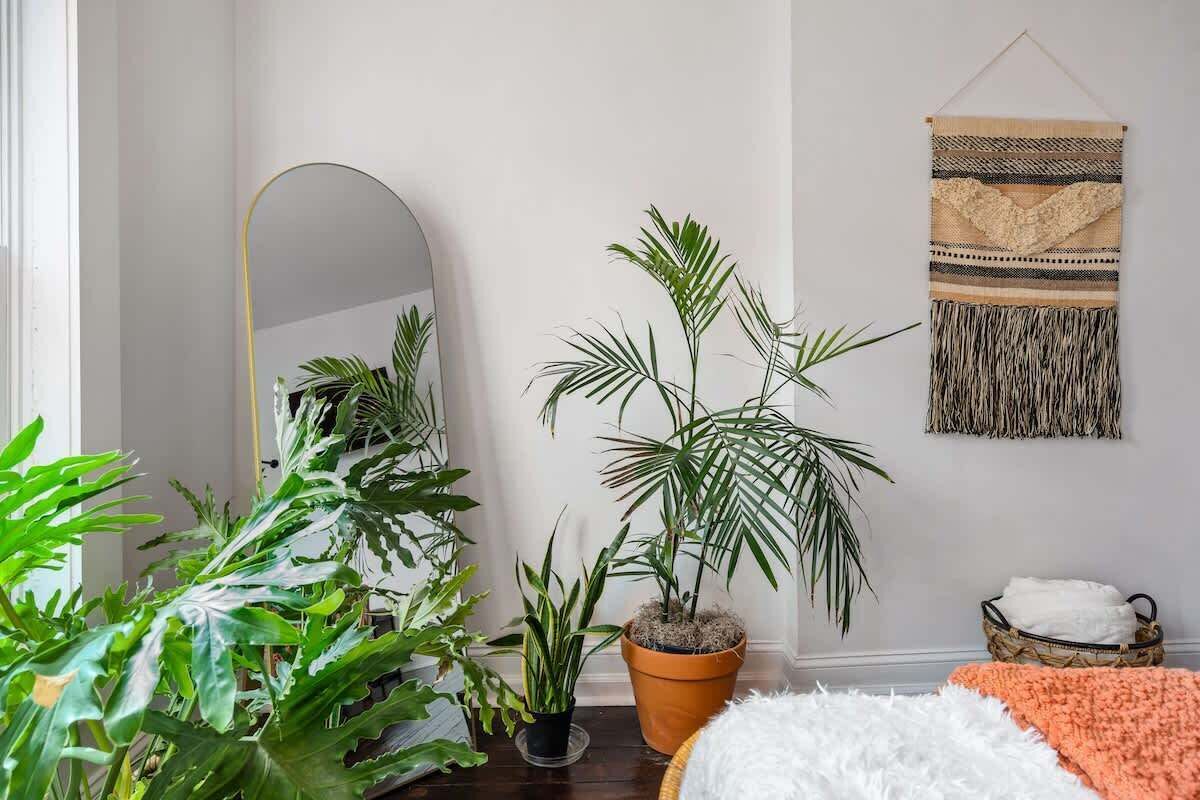Een slaapkamer met een grote spiegel, een potplant, een geweven wandtapijt en een mand met handdoeken.