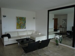 Televisio, DVD-soitin