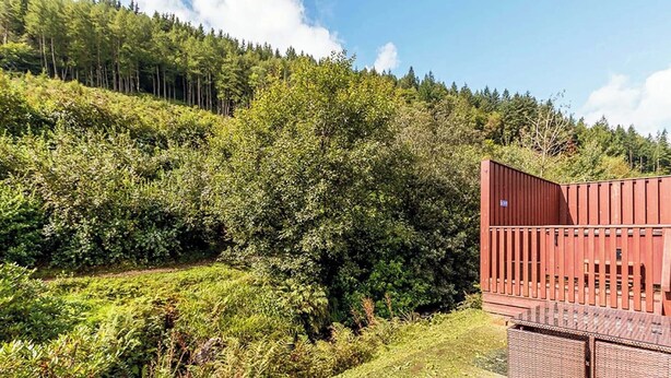 Property grounds - Classic 3 bed Hot Tub Lodge (Pet) (Lochgoilhead, on the Drimsynie Estate, Argyll)