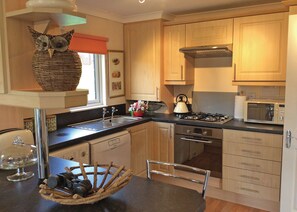 Fridge, oven, stovetop, toaster