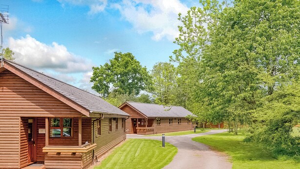 A row of log cabins with a paved walkway leading to them, surrounded by lush greenery. - Lodge with one king-size double with en suite bathroom with shower. (Kilcot, Newent)
