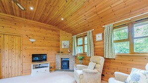 A log cabin interior with a fireplace, a television, a sofa, and a window with curtains. - Lodge with one king-size double with en suite bathroom with shower. (Kilcot, Newent)