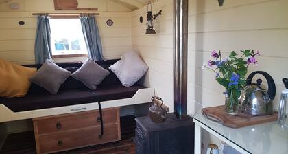 Shepherd's Hut set in private meadow